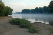Morgennebel zum zweiten.